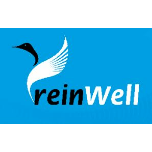 11881 ReinWell Моторное масло ADVANS 8800 0W-20 (1л) - 1 л